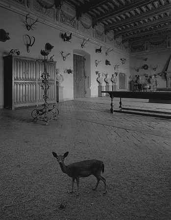 Deer in Trophy Room, 1996