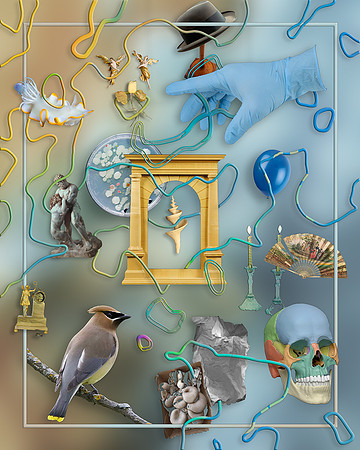 Vanitas-08, 2019