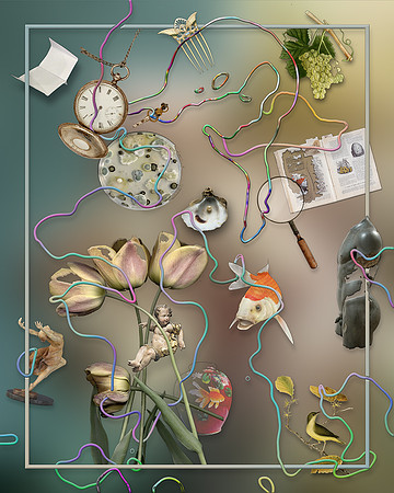 Vanitas-10, 2019