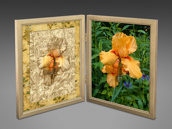 Alterpiece-65, Homage to “Flaming June”