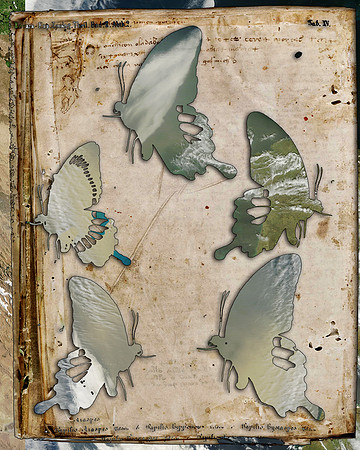 Biograph-22, 2011