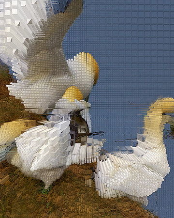 Extrusion Map-75, 2010