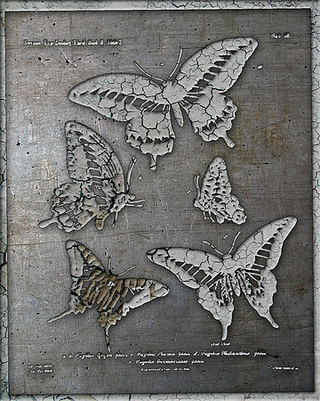 Biograph-21, 2011