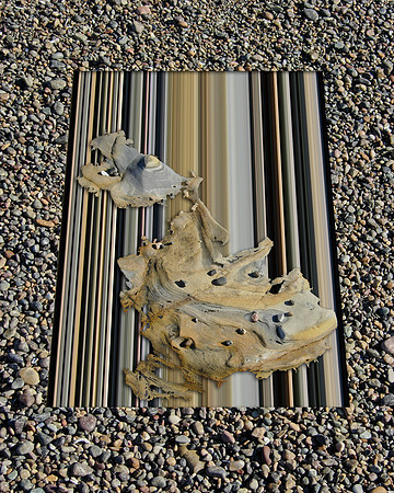 Shore Lines-33, 2012