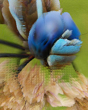 Extrusion Map-63, 2010