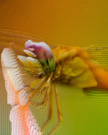 Extrusion Map-56, 2010