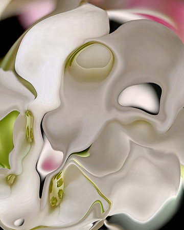Flower-29, 2006