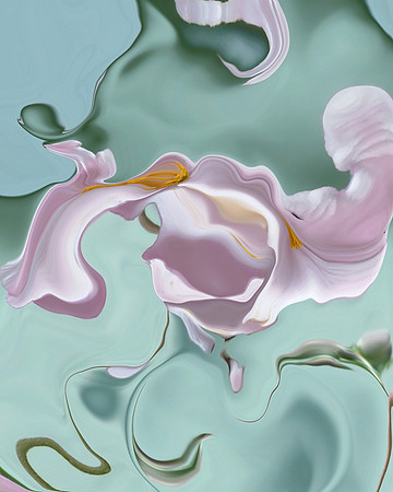 Flower-20, 2006