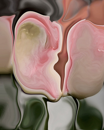 Tulip-08, 2006