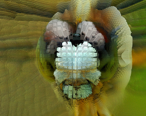 Extrusion Map-74, 2010