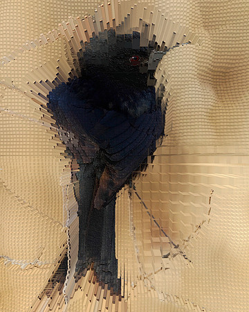 Extrusion Map-93, 2010