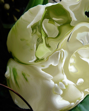 Tulip-06, 2006