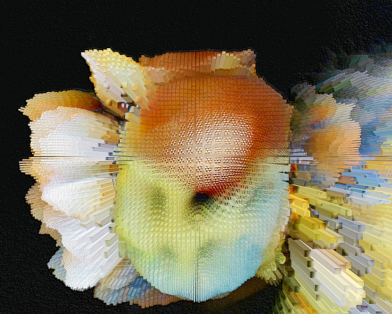 Extrusion Map-37, 2010
