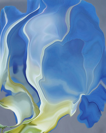 Morning Glory-01, 2006