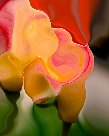 Tulip-02, 2006