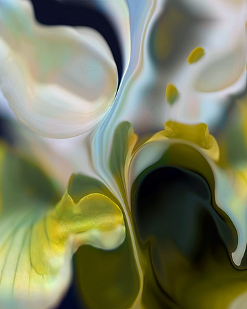 Iris-01, 2006