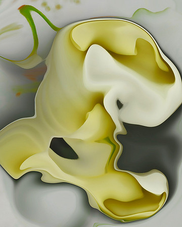 Lily-02, 2006
