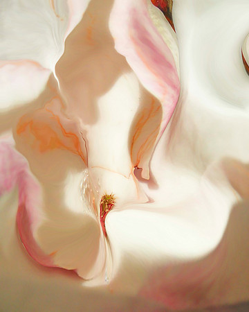 Magnolia-14, 2006