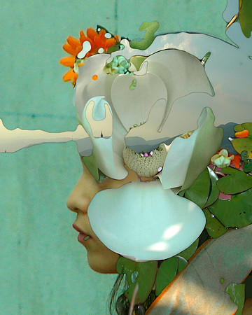 Coalescence-29, 2007