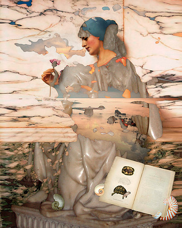 Coalescence-37, 2008