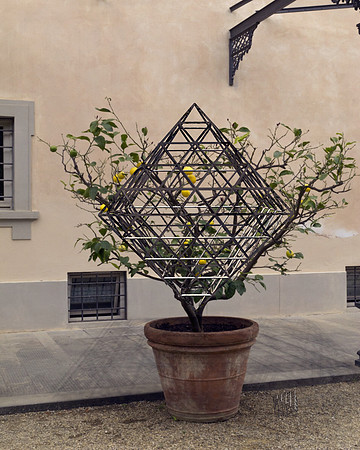 Geometric-14, 2014.