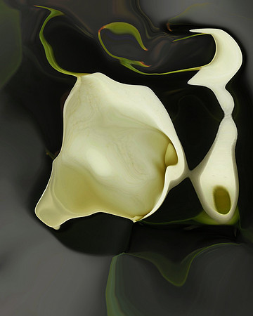 Lily-06, 2006
