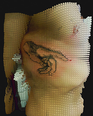 Pigment Extrusion-19, 2011