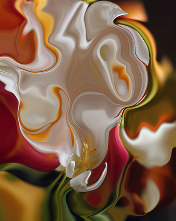 Tulip-04, 2006