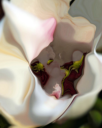 Magnolia-21, 2006