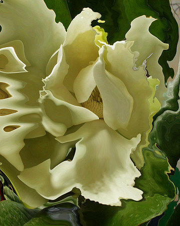 Magnolia-04, 2006