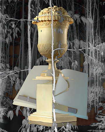Coalescence-35, 2008