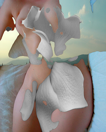 Coalescence-27, 2007