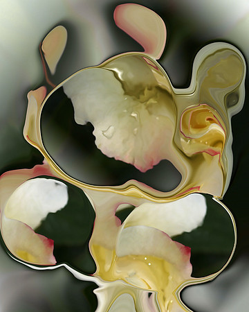 Rose-21, 2006