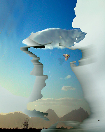 Coalescence-32, 2008